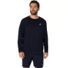 ASICS SILVER LONG SLEEVE TOP