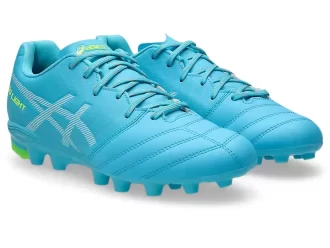 DS LIGHT JR GRADE SCHOOL