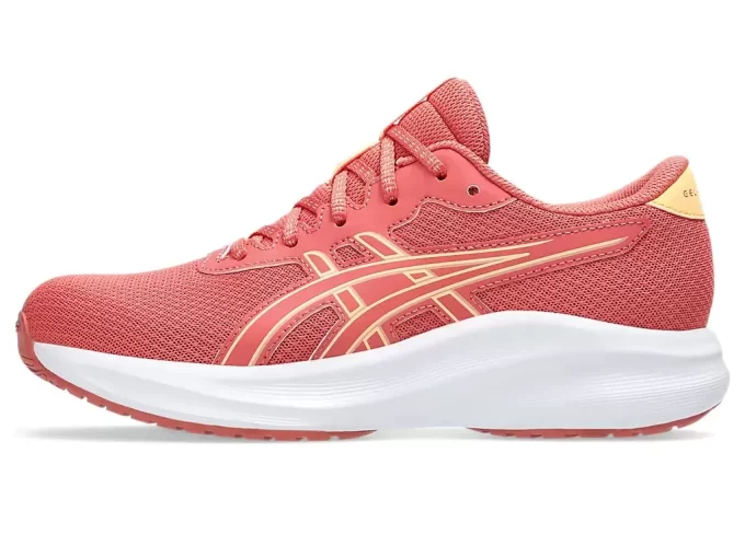 GEL-EXCITE 11 GRADE SCHOOL