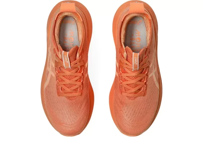 GEL-NIMBUS 27 LITE-SHOW