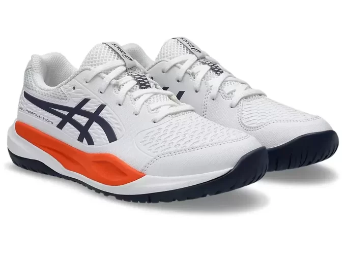 GEL-RESOLUTION X GRADE SCHOOL